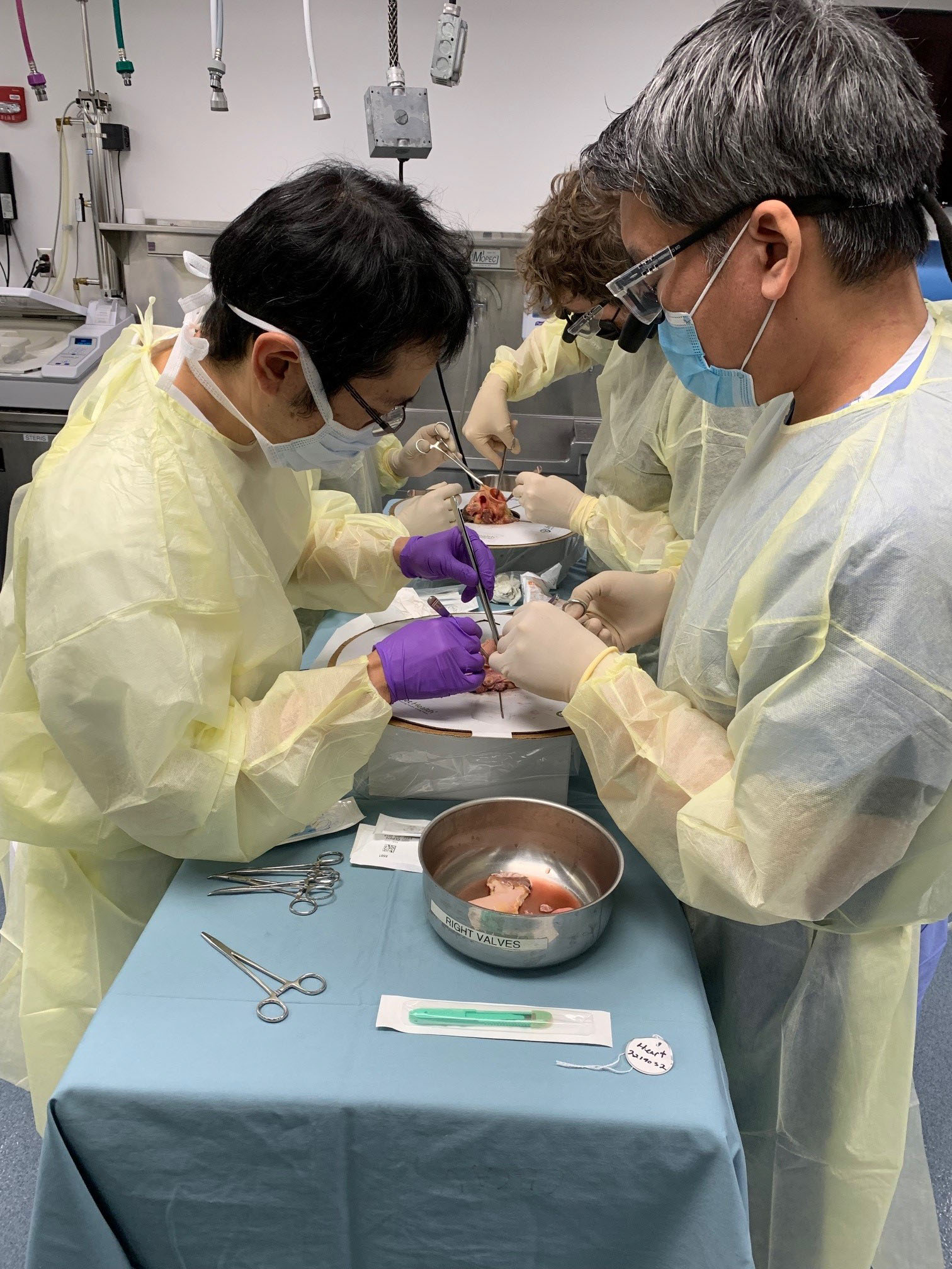 Hands-on allograft surgical techniques training